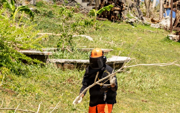 Vegetative Debris Removal Moving Foward