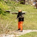 Vegetative Debris Removal Moving Foward