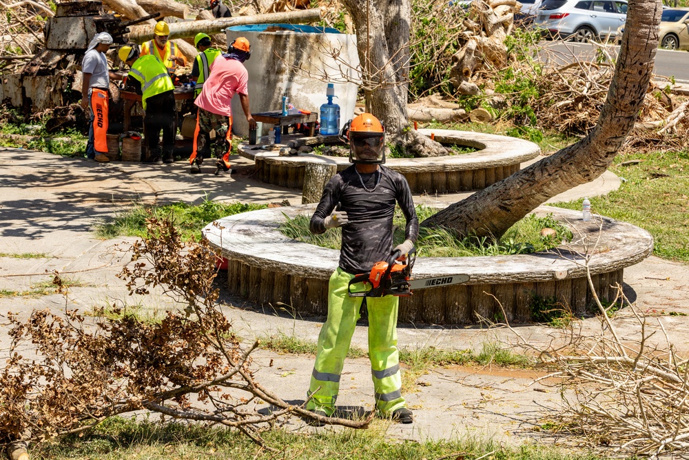 Vegetative Debris Removal Moving Foward