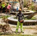 Vegetative Debris Removal Moving Foward
