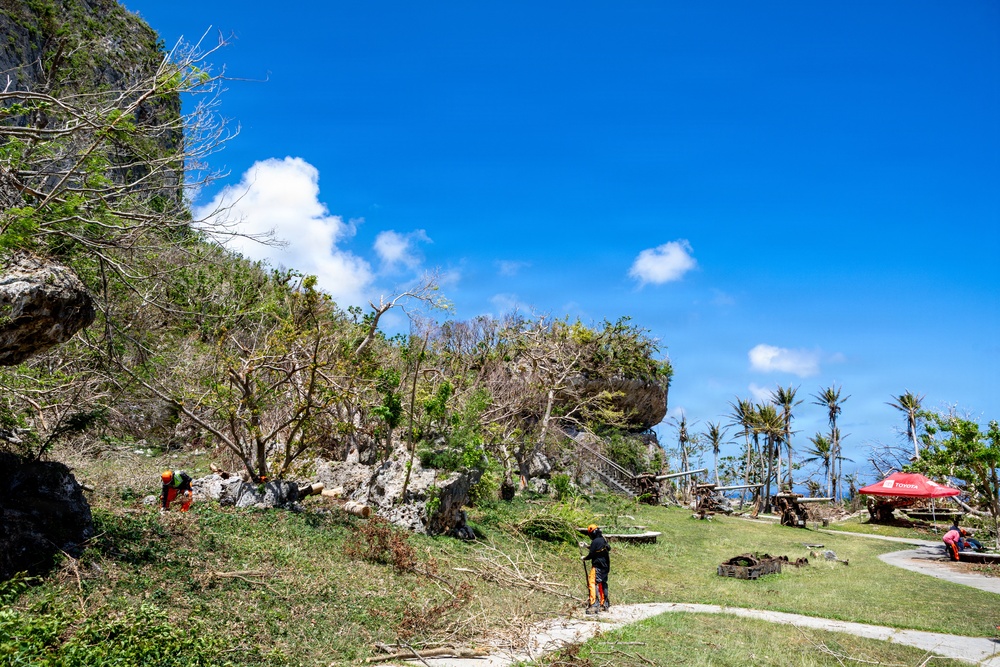 Vegetative Debris Removal Moving Foward