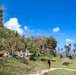 Vegetative Debris Removal Moving Foward