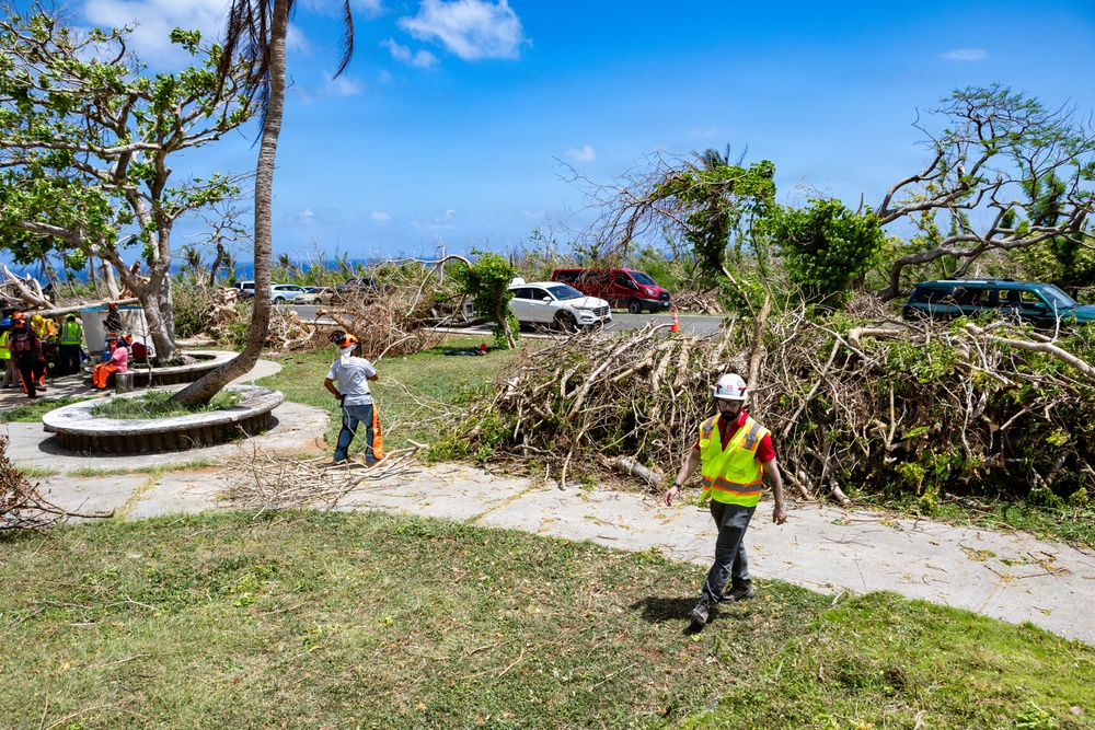 Vegetative Debris Removal Moving Foward