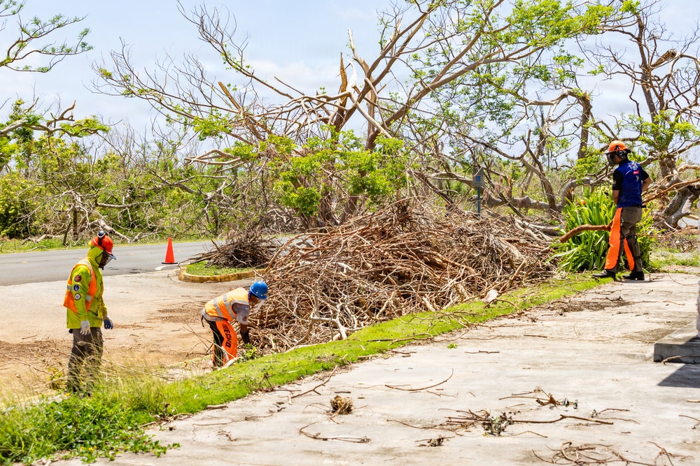 Vegetative Debris Removal Moving Foward