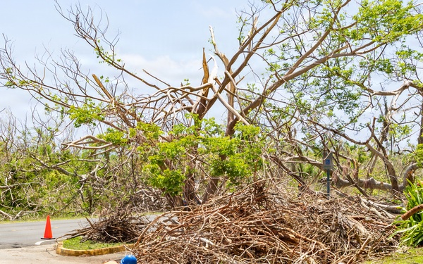 Vegetative Debris Removal Moving Foward