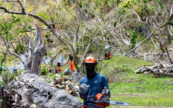 Vegetative Debris Removal Moving Foward