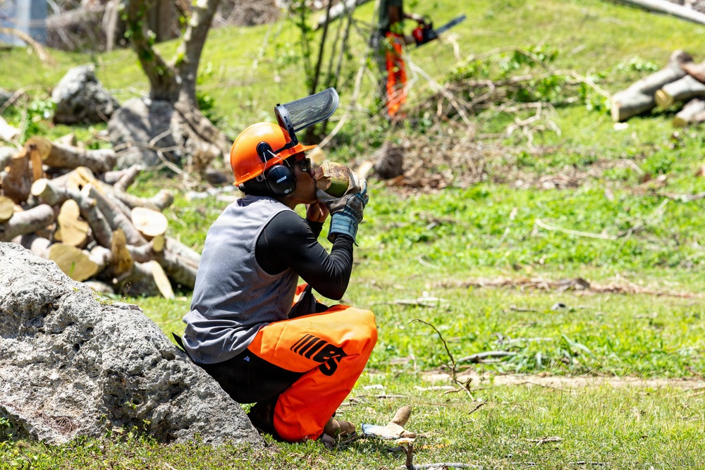 Vegetative Debris Removal Moving Foward