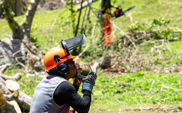 Vegetative Debris Removal Moving Foward
