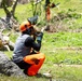 Vegetative Debris Removal Moving Foward