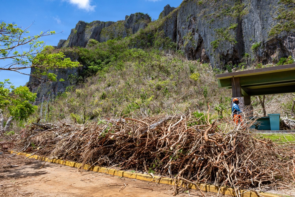 Vegetative Debris Removal Moving Foward