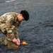 Tropic Tundra 26 PAR and Recovery scenario