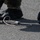Bev. Sent. 26-3: Rapid, Ready, EOD response Bev. Sent. 26-3: Rapid, Ready, EOD response