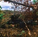 Salaknib 2026: Multinational Forces Enhance Interoperability During JPMRC-X Air Assault