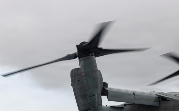 VMM-262 participate in routine flight