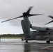 VMM-262 participate in routine flight