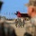 3rd LCT Holds Relief and Appointment Ceremony while deployed to the Philippines