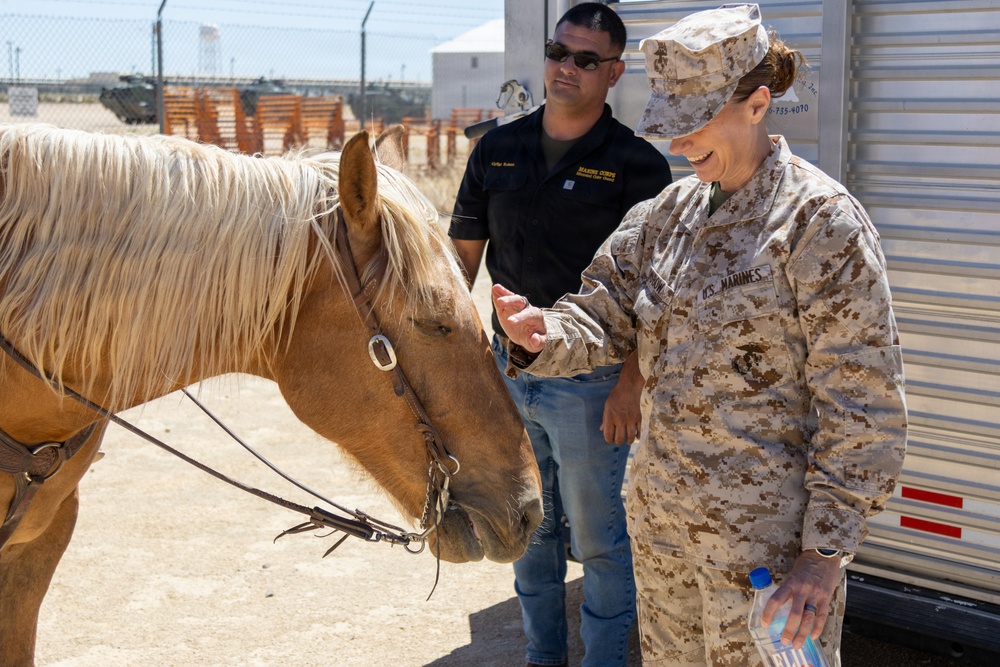 Colonel Dubow Visit