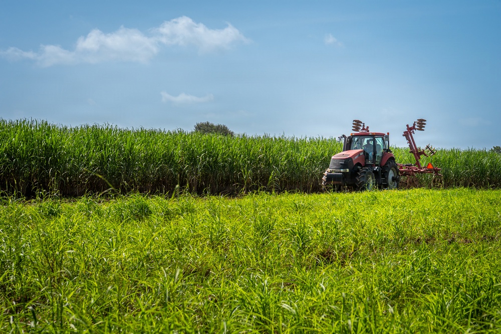 Sugarcane farmer in Tractor