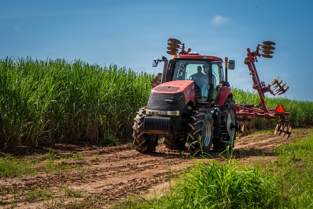 Sugarcane farmer in Tractor