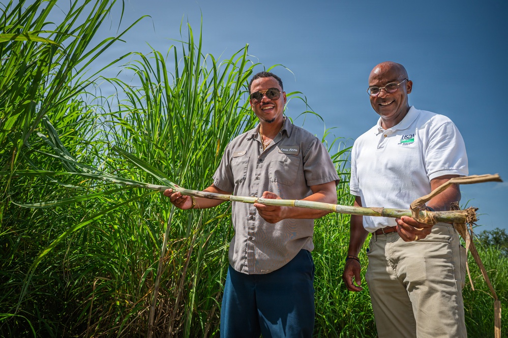 Sugarcane farmer with RMA employee