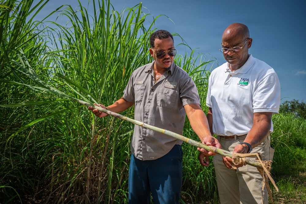 Sugarcane farmer with RMA employee