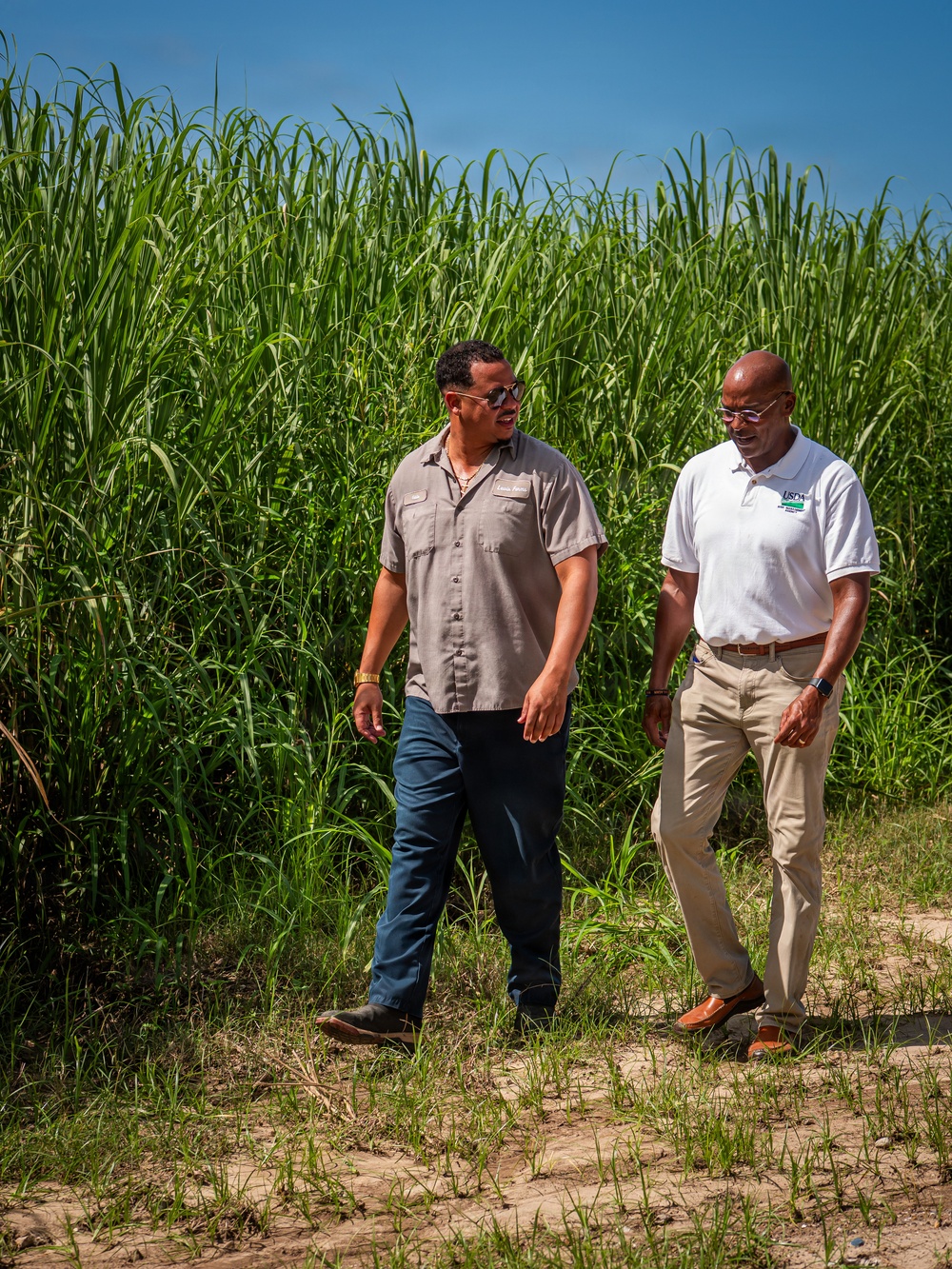 Sugarcane farmer with RMA employee