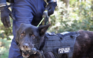 NAVFAC Northwest advances construction of military working dog kennel facility, enhancing installation readiness