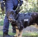 Military Working Dog Completes Training Exercise