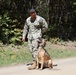 U.S. Navy Military Working Dog Handler Conducts Training Exercise