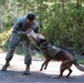 U.S. Navy Sailor Conducts Military Working Dog Training Exercise