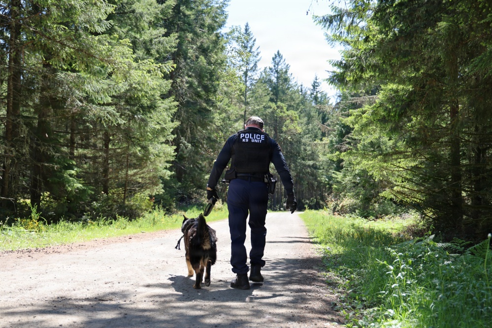 Police K-9 Unit Handler Patrols Forest Road with Military Working Dog