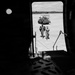105th in B&amp;W