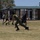U.S. Marines and Singaporean Armed Forces hold an athletic day at MCAGCC