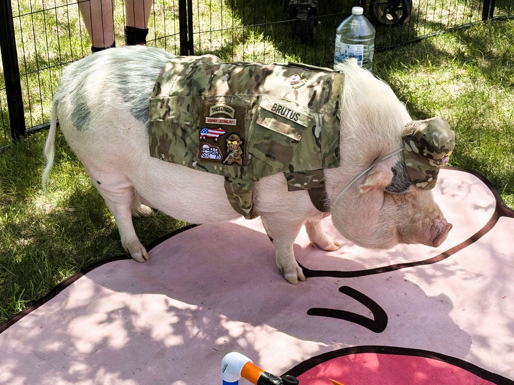 More than 800 attend Fort McCoy’s 2026 Armed Forces Day Open House, continuing decades-long tradition of community engagement