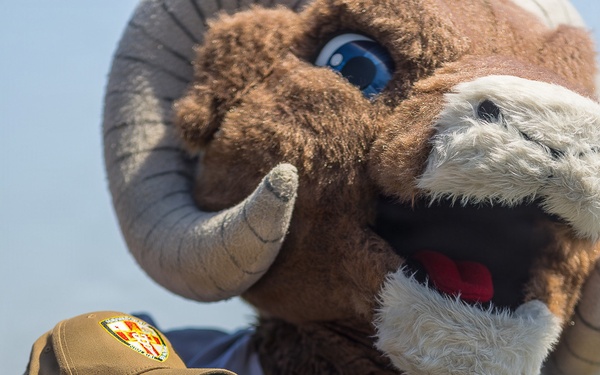 USO hosts Rampage and Cheerleaders of the Los Angeles Rams in addition to games, events, and activities for the Sailors and Marines onboard USS Essex (LHD 2) for LA Fleet Week