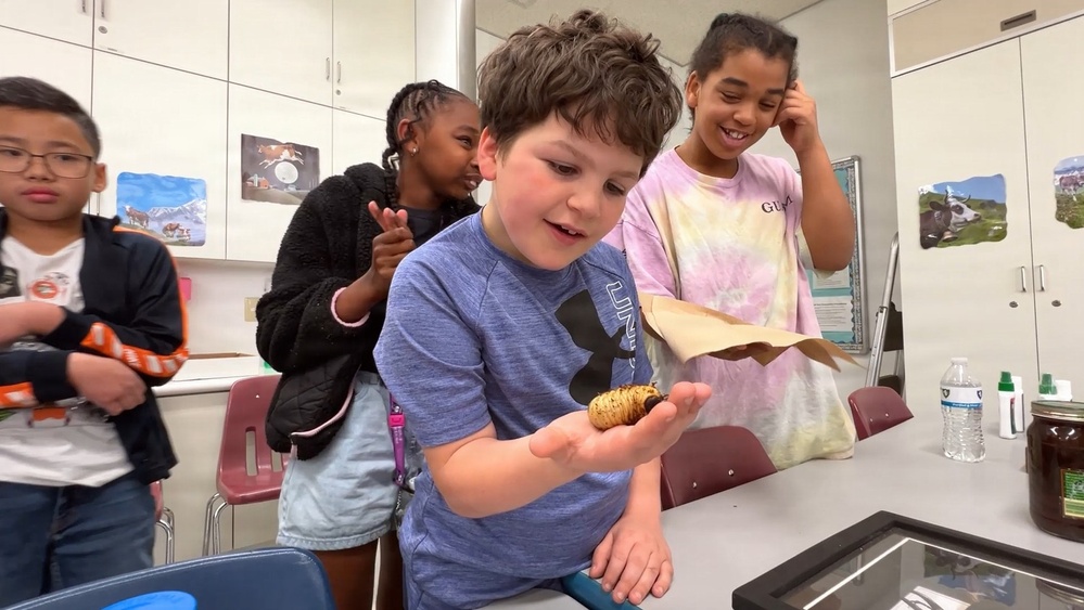 Sparking Curiosity: Arnn Elementary students tackle interactive STEAM challenges