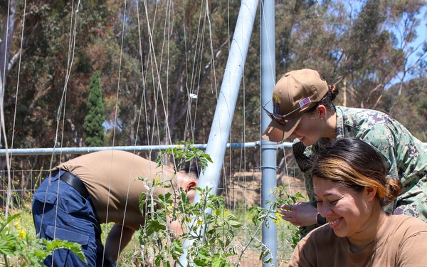 USS Essex Volunteers at the Veterans Garden