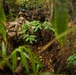 Salaknib 2026: U.S. and Philippine Forces Clear an Objective during JPMRC-X