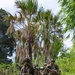 Salaknib 2026: 2-35 IN Engages OPFOR at JPMRC-X