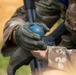U.S. Army and Republic of Korea soldiers compete in Expert Soldier, Infantry and Field Medical Badge training.