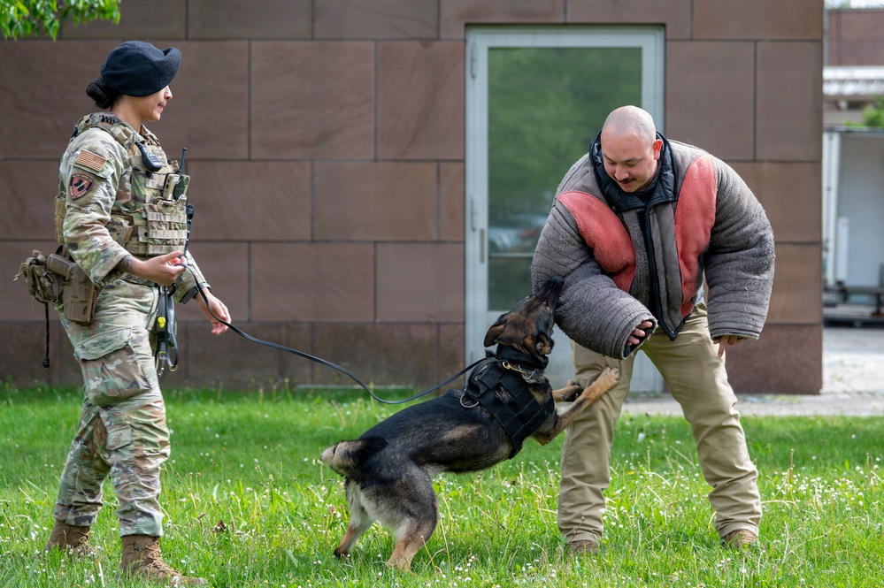 Police Week 26 at Ramstein