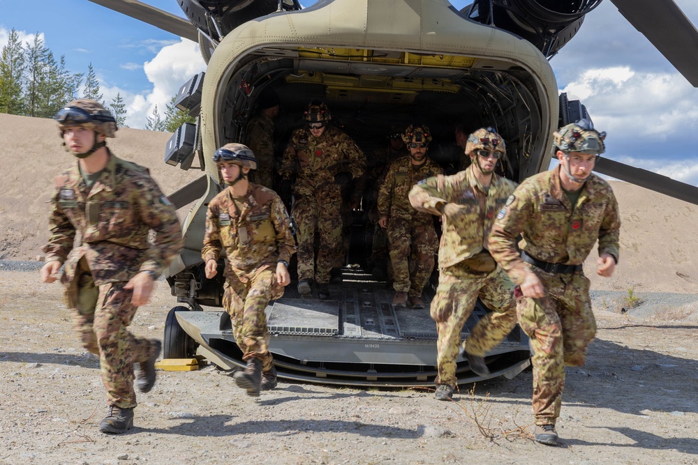 1-214th GSAB conducts cold and hot load training for multinational battalion during Saber Strike