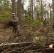 U.S. Army, Estonian Defence Forces support restoration of historic Seitsmãgi Camp during exercise Spring Storm