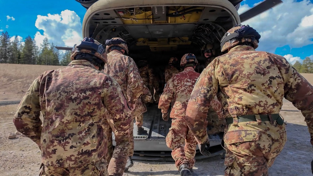 1-214th GSAB conducts cold and hot load training for multinational battalion during Saber Strike