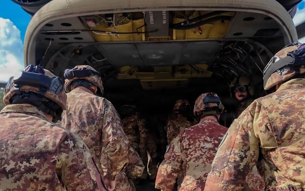1-214th GSAB conducts cold and hot load training for multinational battalion during Saber Strike