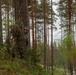 U.S. Army, Estonian Defence Forces support restoration of historic Seitsmãgi Camp during exercise Spring Storm