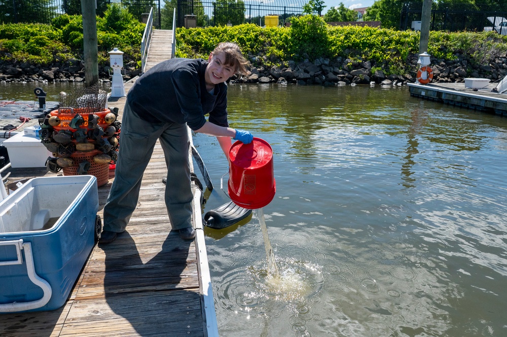 JBAB’s environmental team executes a freshwater mussel deployment in Potomac