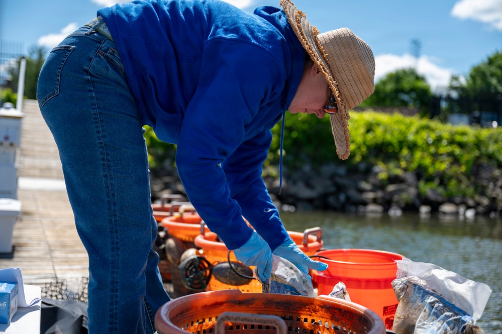 JBAB’s environmental team executes a freshwater mussel deployment in Potomac