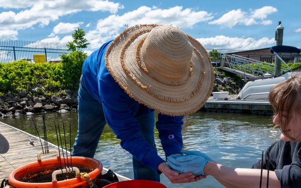JBAB’s environmental team executes a freshwater mussel deployment in Potomac