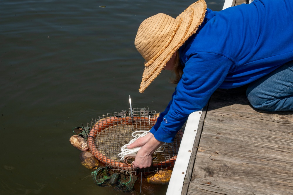 JBAB’s environmental team executes a freshwater mussel deployment in Potomac